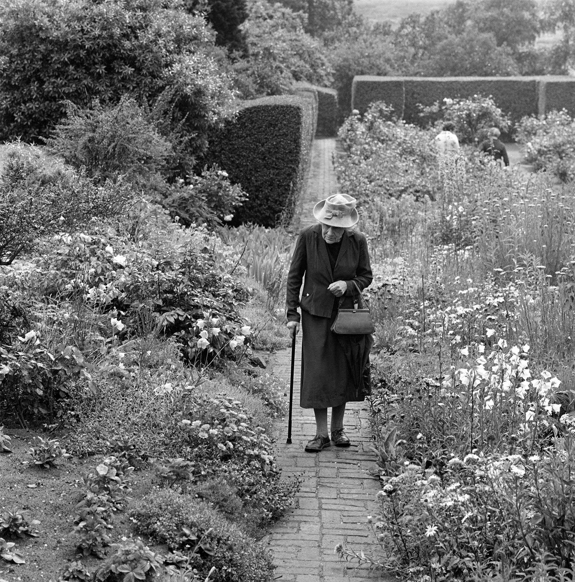 A brick path in a flower garden.